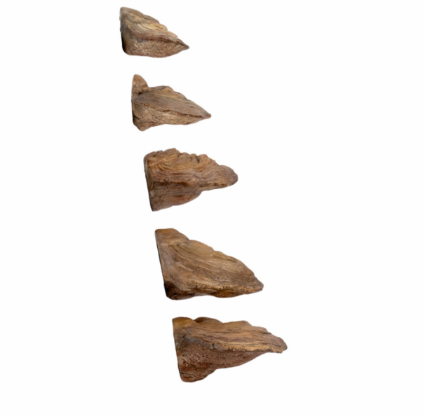 Mushroom Wall Decor