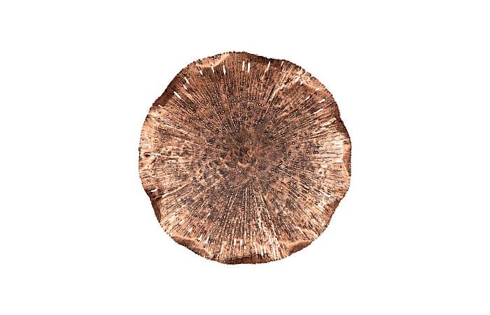 Set of 5 - Lotus Wall Art